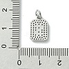 Rack Plating Brass Micro Pave Clear Cubic Zirconia Charms KK-G501-01S-P-3