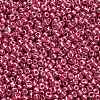 12/0 Glass Seed Beads E06900F2-3