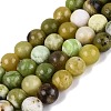 Natural Serpentine Beads Strands G-Q616-07B-2