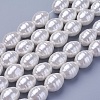 Shell Pearl Beads Strands BSHE-P030-03D-2