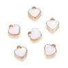 Alloy Enamel Charms LS-ENAM-Q033-51B-1