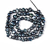 Natural Cultured Freshwater Pearl Beads Strands PEAR-P002-54A-2