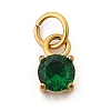 304 Stainless Steel Micro Pave Cubic Zirconia Pendants STAS-R167-01A-G-1