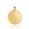Ion Plating(IP) 304 Stainless Steel Pendants STAS-I311-06G-1