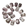 Natural Plum Blossom Tourmaline Beads Strands G-H078-A01-02-2