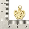 Rack Plating Brass Micro Pave Cubic Zirconia Charms KK-K386-08G-3