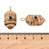 Natural Picture Jasper Pendants KK-CBAF9BC-20G-05-2