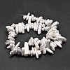 Natural Howlite Chip Beads Strands X-G-E271-53-2