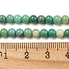 Natural Green Grass Agate Beads Strands G-NH0001-D03-01-5