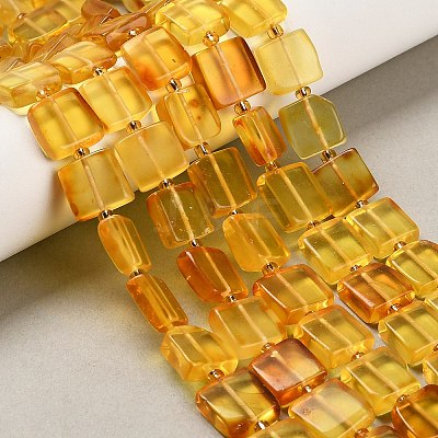 Natural Amber Beads Strands G-C260-A01-01-1