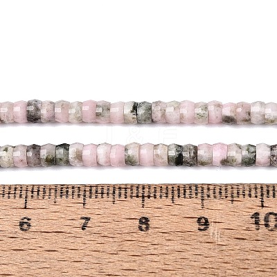 Natural Rhodonite Beads Strands G-Q606-46A-15-1