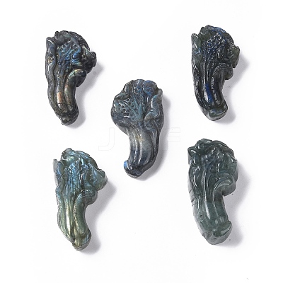 Natural Labradorite Cabochons G-G985-10-1