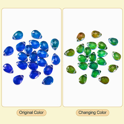 Glass Charms GLAA-TAC0012-28A-1