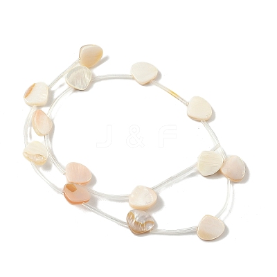 Natural Freshwater Shell Beads Strands SHEL-K006-52B-1