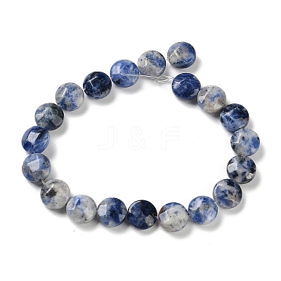Natural Blue Spot Jasper Beads Strands G-K357-B14-01-1