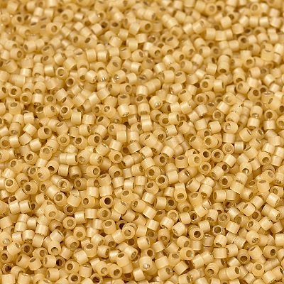 MIYUKI Delica Beads X-SEED-J020-DB2186-1