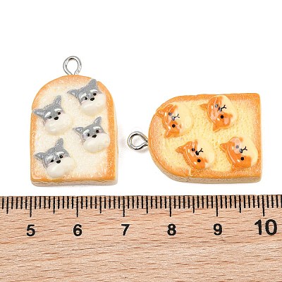 Opaque Resin Imitation Food Pendants RE-CBA0E2-03-1