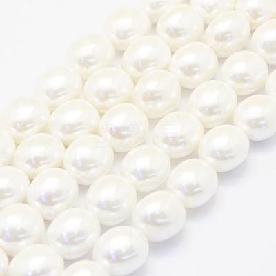 Shell Pearl Beads Strands BSHE-P024-15-1