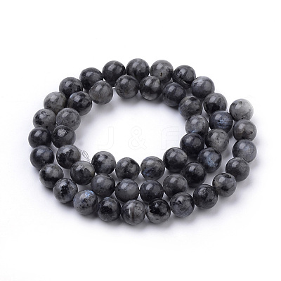 Natural Larvikite Beads Strands X-G-S259-06-6mm-1