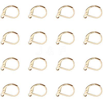 304 Stainless Steel Leverback Earring Findings STAS-PH0018-28G-1
