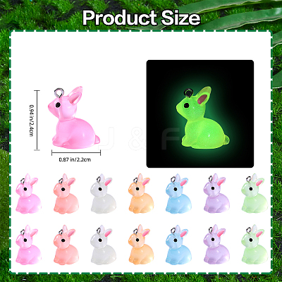 70Pcs 7 Colors Luminous Transparent Resin Pendants RESI-SZ0003-35-1