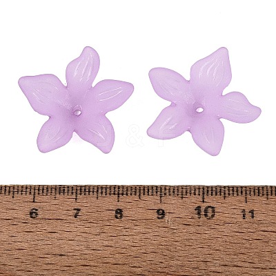 Translucent Acrylic Beads FACR-5335-6-1