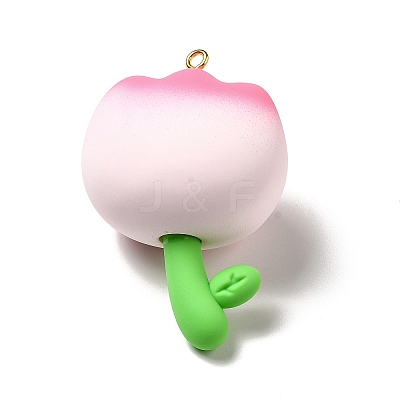 PVC Plastic and Resin Big Pendants PVC-K001-01C-1