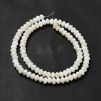 Natural Freshwater Shell Beads Strands BSHE-E026-15B-01-1