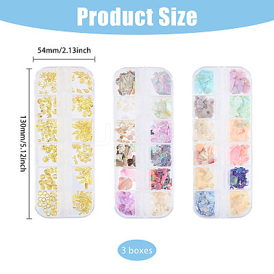 Ocean Theme 3 Sets 3 Styles Abalone Shell/Paua Shell/Alloy Chips MRMJ-CA0001-52-1
