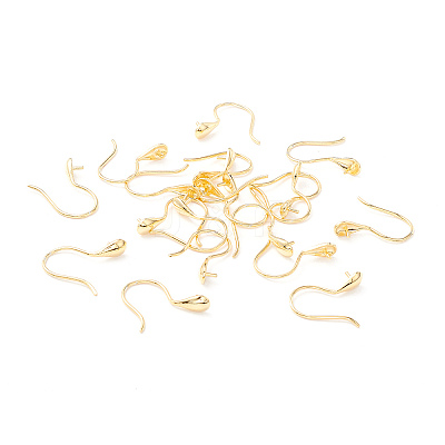 925 Sterling Silver Earring Hooks STER-P047-01B-G-1
