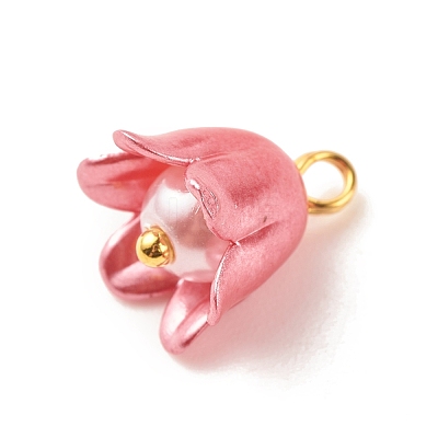 Spray Paint ABS Plastic Imitation Pearl Charms PALLOY-JF01603-03-1