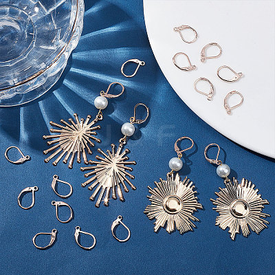 50Pcs 304 Stainless Steel Leverback Earring Findings STAS-BBC0001-44RG-1