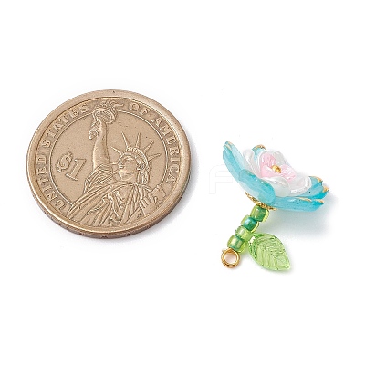 Transparent Acrylic Pendants X1-PALLOY-MZ00822-03-1