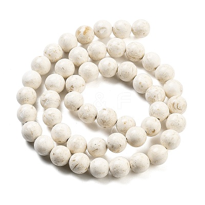Natural Fossil Beads Strands G-H026-02D-1