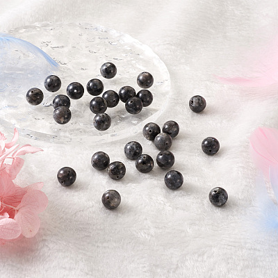 Natural Labradorite Round Beads G-FW0001-02-1