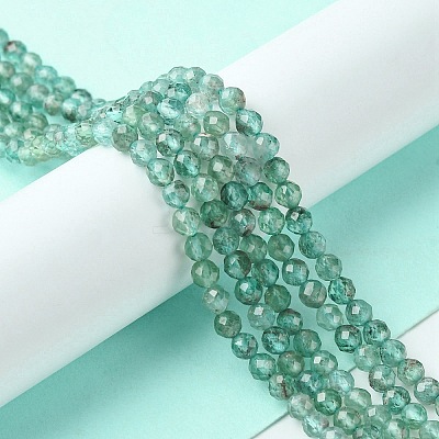 Natural Apatite Beads Strands G-F748-J01-02-1