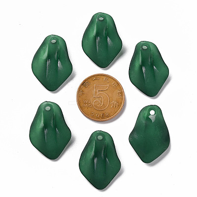 Transparent Frosted Acrylic Pendants MACR-S371-03A-735-1