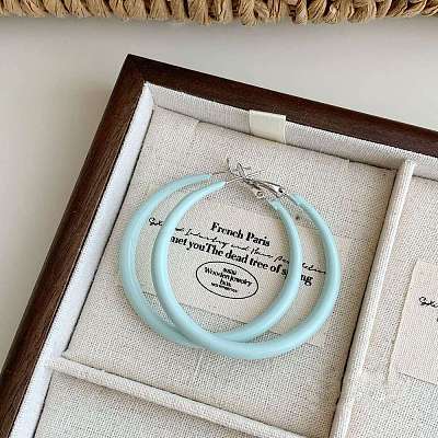 Alloy Epoxy Hoop Earrings FS-WG979F0-12-1
