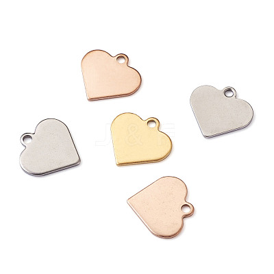 304 Stainless Steel Charms STAS-BT0001-03-1