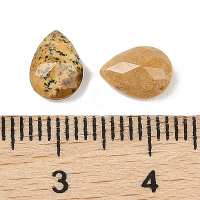Natural Picture Jasper Cabochons G-C146-01B-1