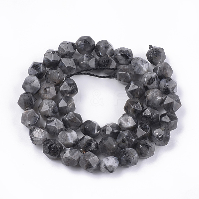 Natural Larvikite Beads Strands LS-G-S348-03-1