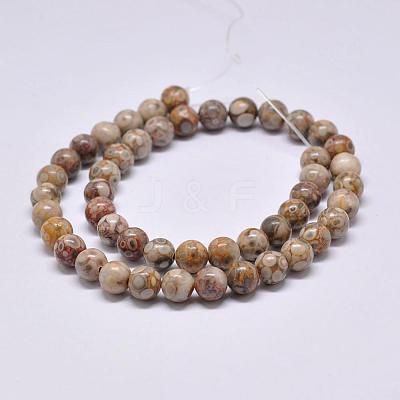 Natural Maifanite/Maifan Stone Beads Strands X-G-F353-8mm-1