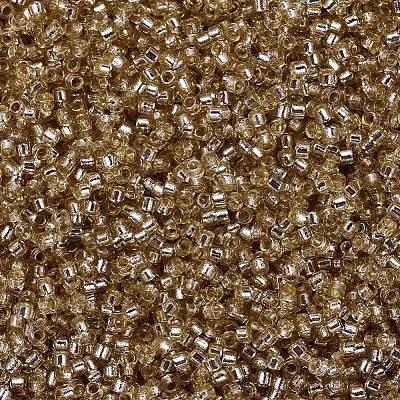 MIYUKI Delica Beads SEED-J020-DB2155-1
