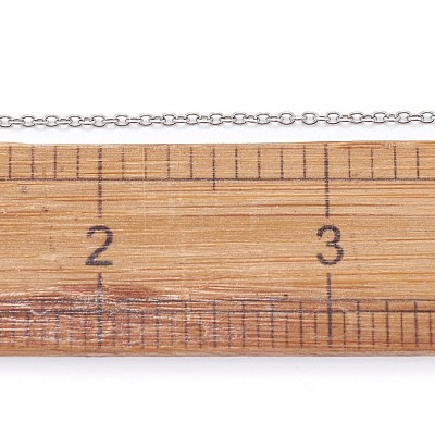 Non-Tarnish 3.28 Feet 304 Stainless Steel Cable Chains X-CHS-F006-02B-P-1