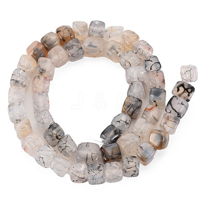 Natural Agate Beads Strands G-N326-99F-1