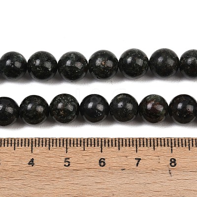 Natural Seraphinite Beads Strands G-H337-A03-04-1