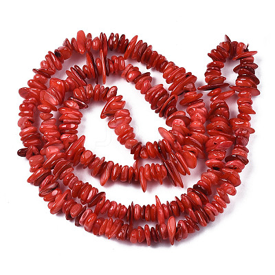 Natural Freshwater Shell Beads Strands SHEL-S278-071-1