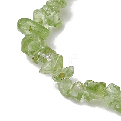 Natural Peridot Stretch Bracelets BJEW-JB11147-06-1