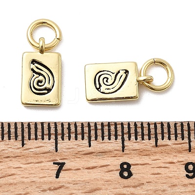 Brass Enamel Charms KK-P338-09G-02-1