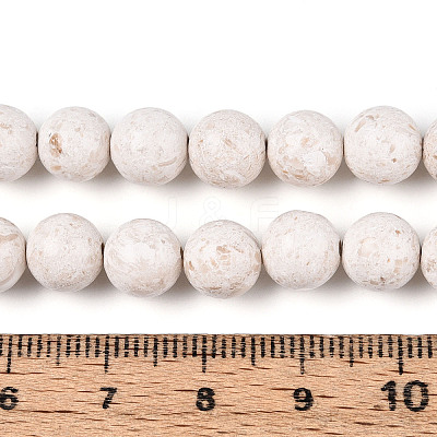 Dyed Natural Fossil Beads Strands G-T139-8mm-66A-1